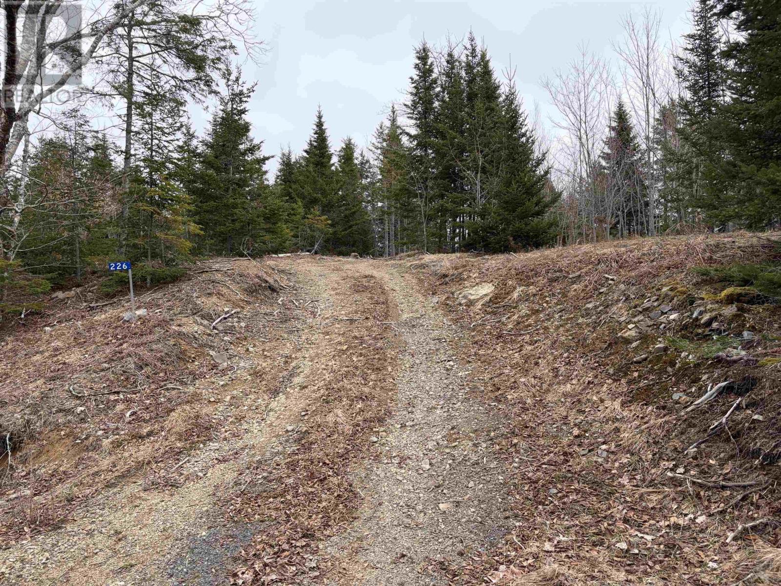 Lot 22-3 226 Brookville Branch Road, Bridgeville, Nova Scotia  B2H 5C7 - Photo 2 - 202227026