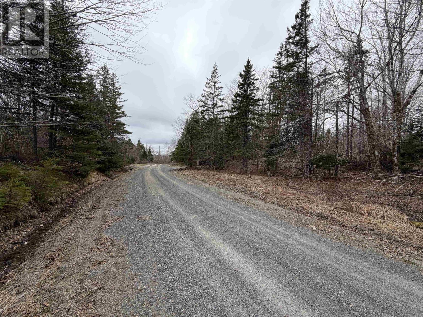 Lot 22-3 226 Brookville Branch Road, Bridgeville, Nova Scotia  B2H 5C7 - Photo 8 - 202227026