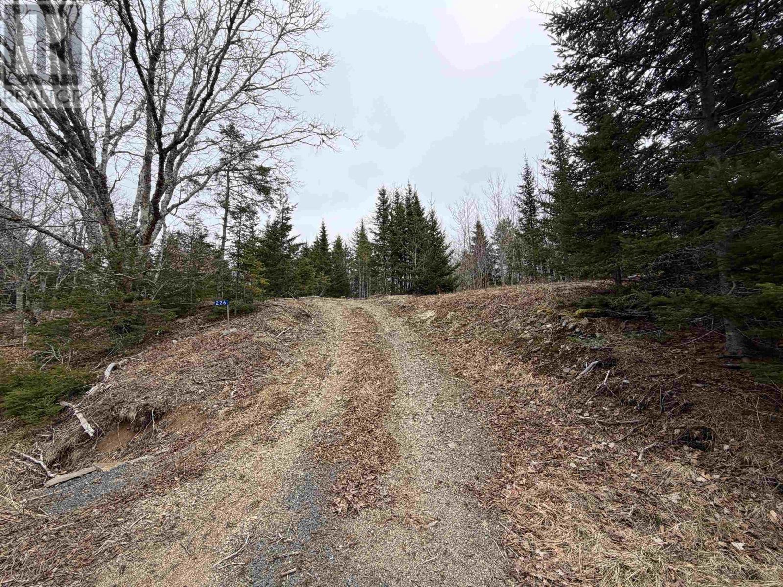 Lot 22-3 226 Brookville Branch Road, Bridgeville, Nova Scotia  B2H 5C7 - Photo 3 - 202227026