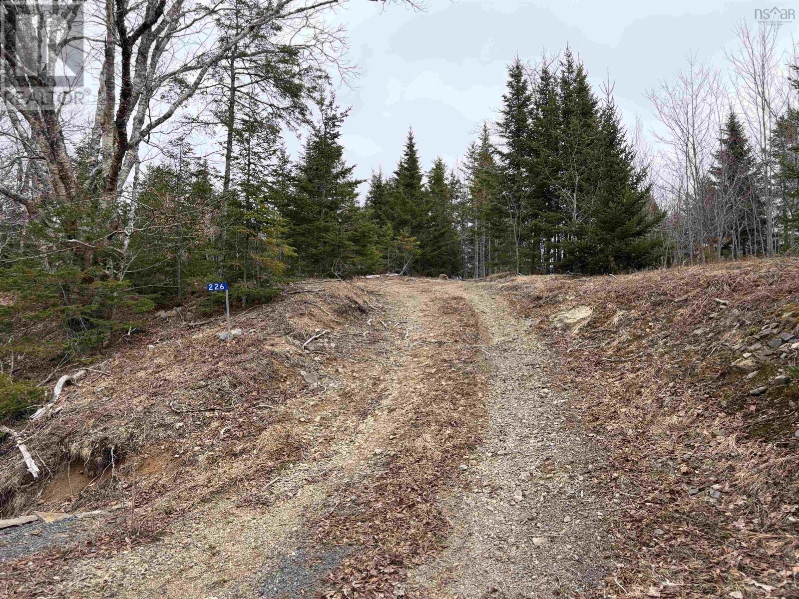 Lot 22-3 226 Brookville Branch Road, Bridgeville, Nova Scotia  B2H 5C7 - Photo 1 - 202227026