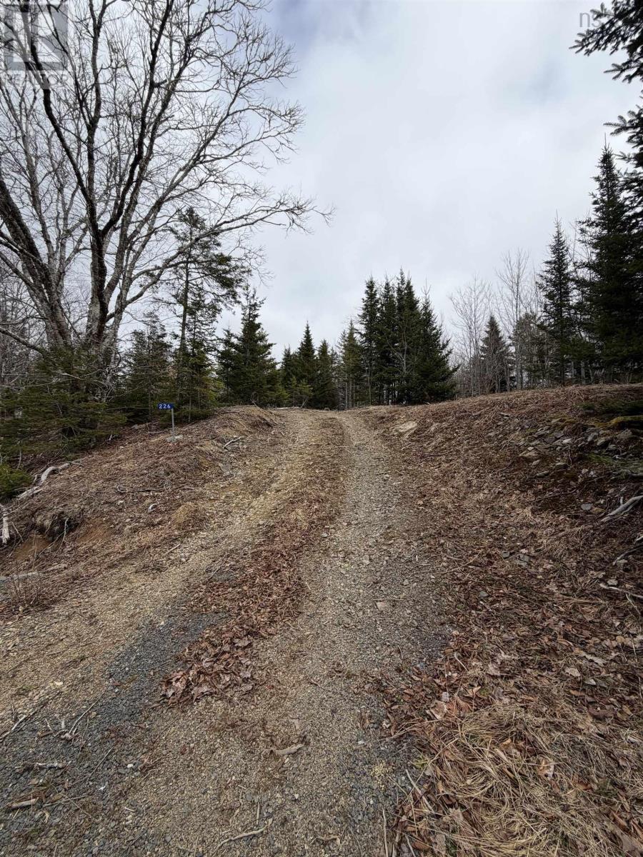 Lot 22-3 226 Brookville Branch Road, Bridgeville, Nova Scotia  B2H 5C7 - Photo 7 - 202227026