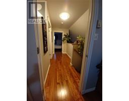3 STEADYVIEW Drive