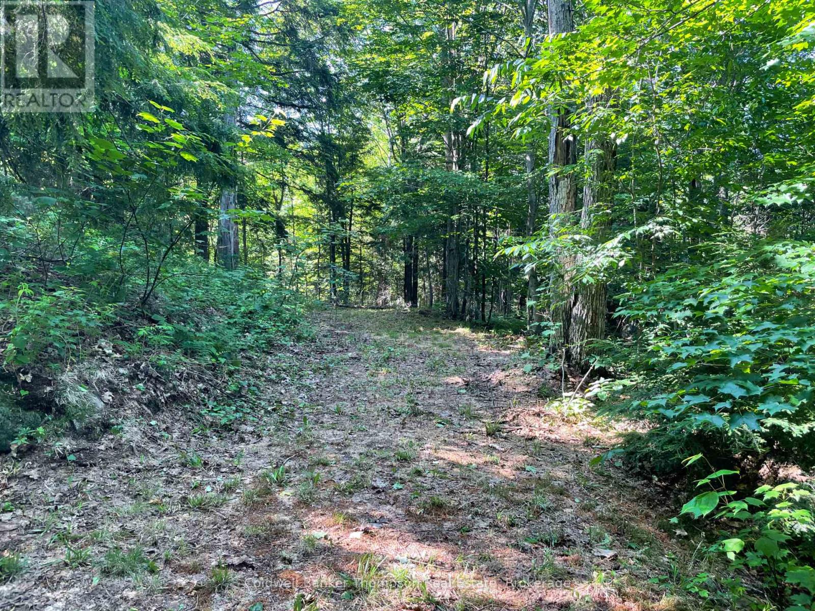 0 Hazard Hill #2 Road, Kearney, Ontario  P0A 1M0 - Photo 19 - X13067002