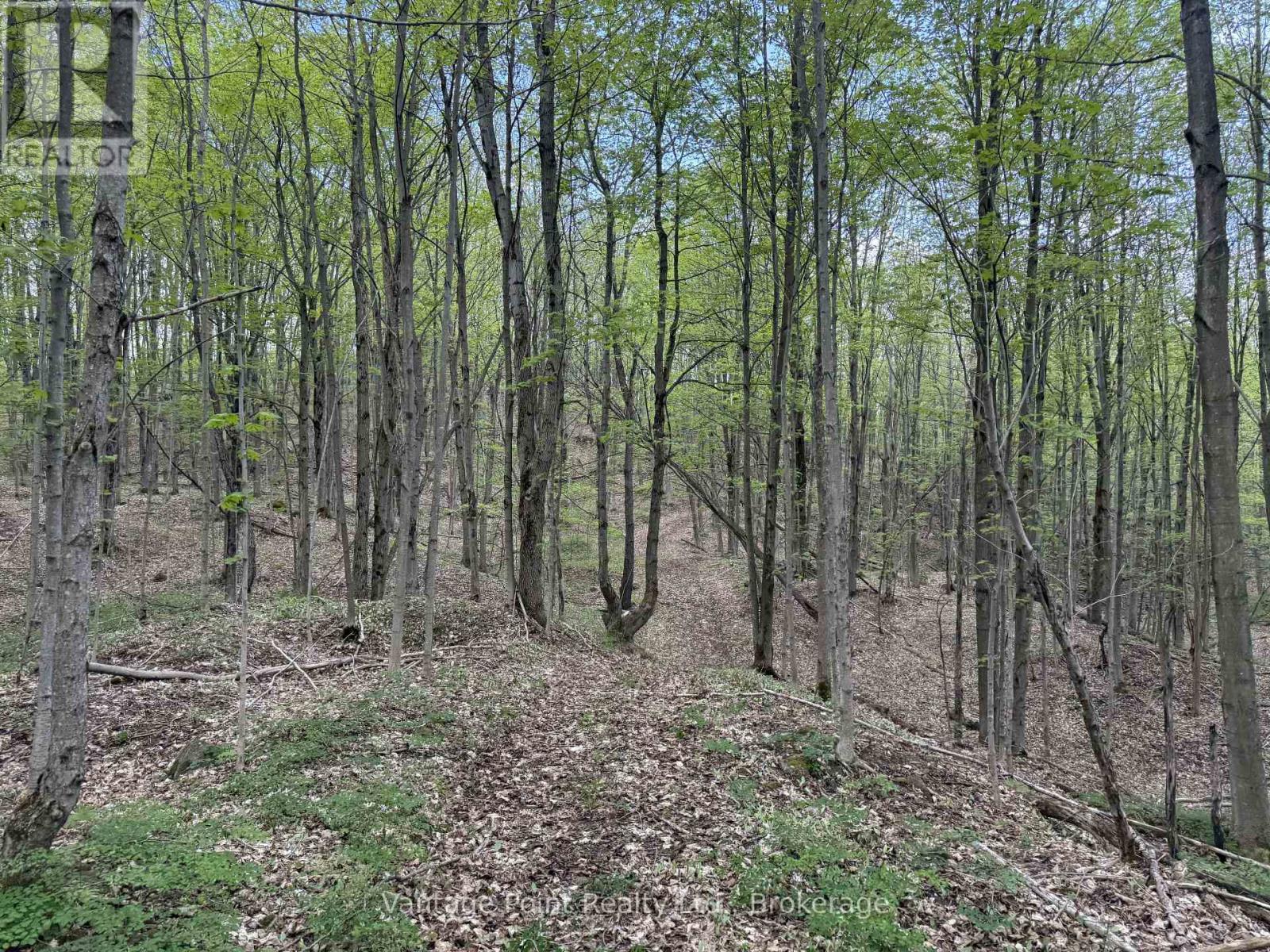 776761 10 Highway, Chatsworth, Ontario  N0H 1R0 - Photo 49 - X13067114