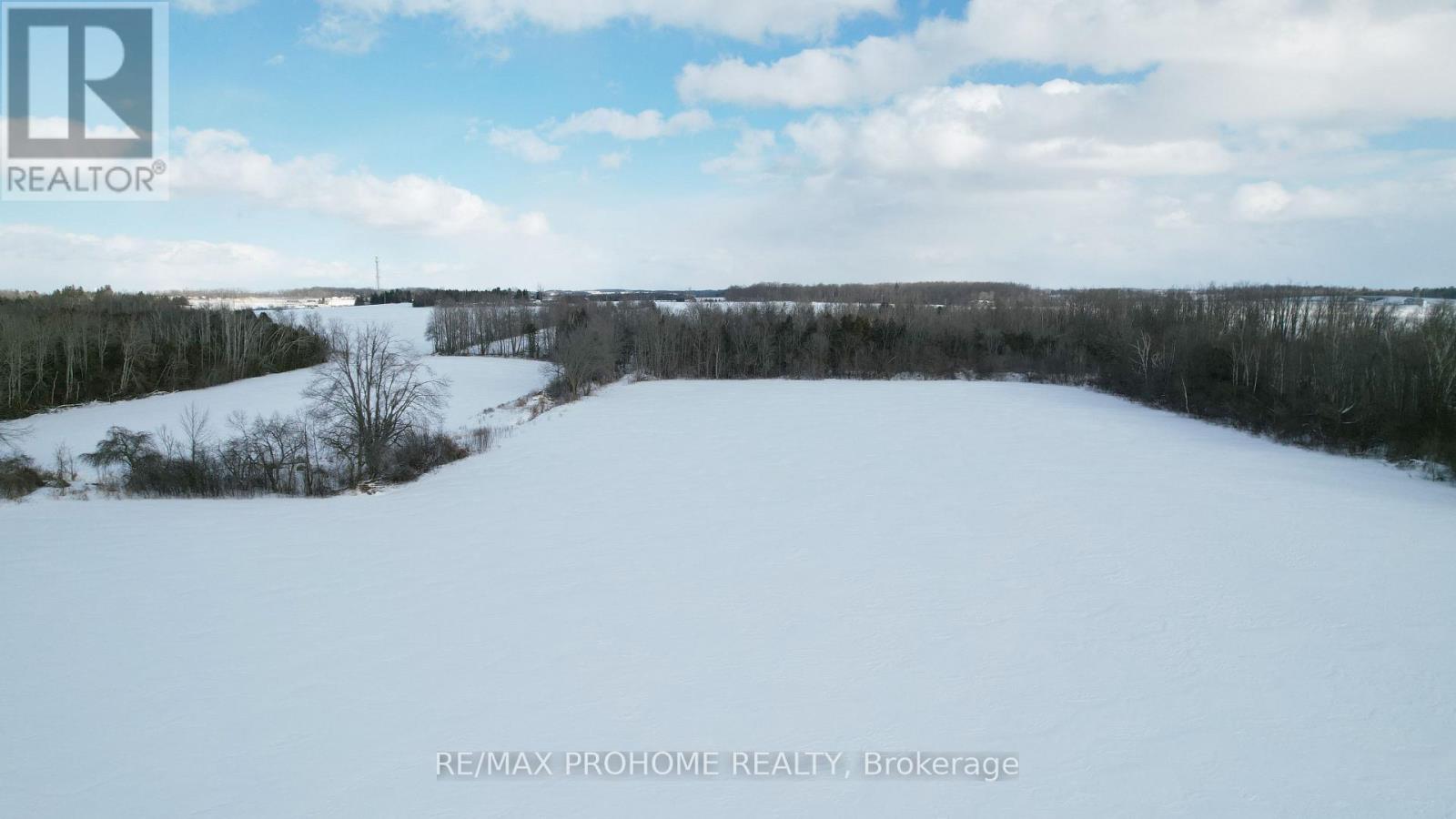 3869 7th Line, Innisfil, Ontario  L9S 3M4 - Photo 13 - N13067006