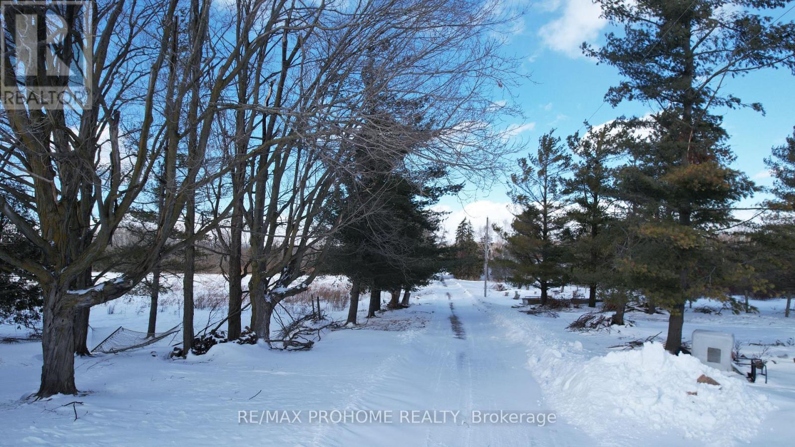 3869 7th Line, Innisfil, Ontario  L9S 3M4 - Photo 19 - N13067006