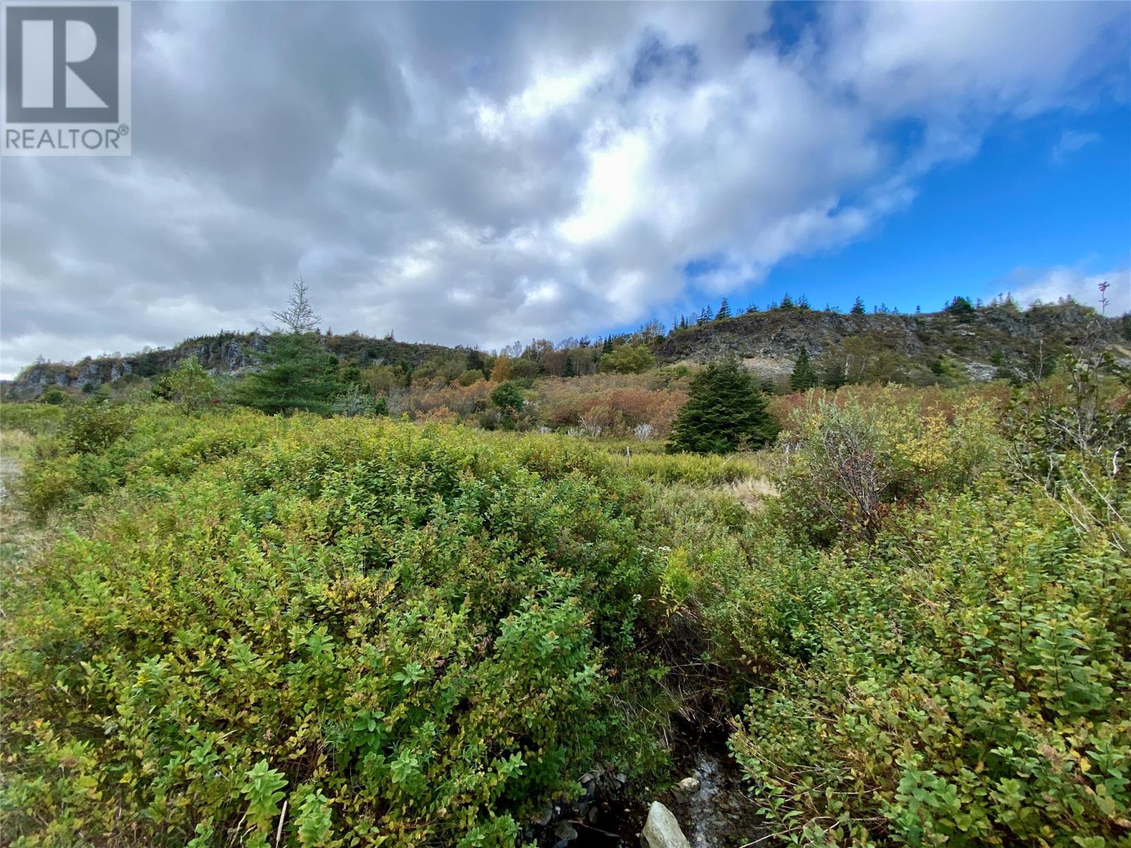 6-8 Old Road N, Salmon Cove, Newfoundland & Labrador