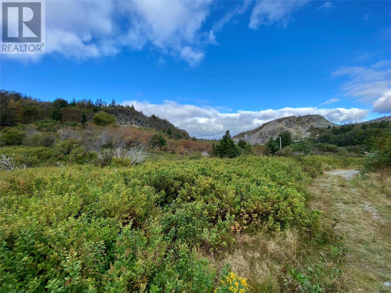 6-8 Old Road N, Salmon Cove, Newfoundland & Labrador  A0A 3S0 - Photo 2 - 1296841