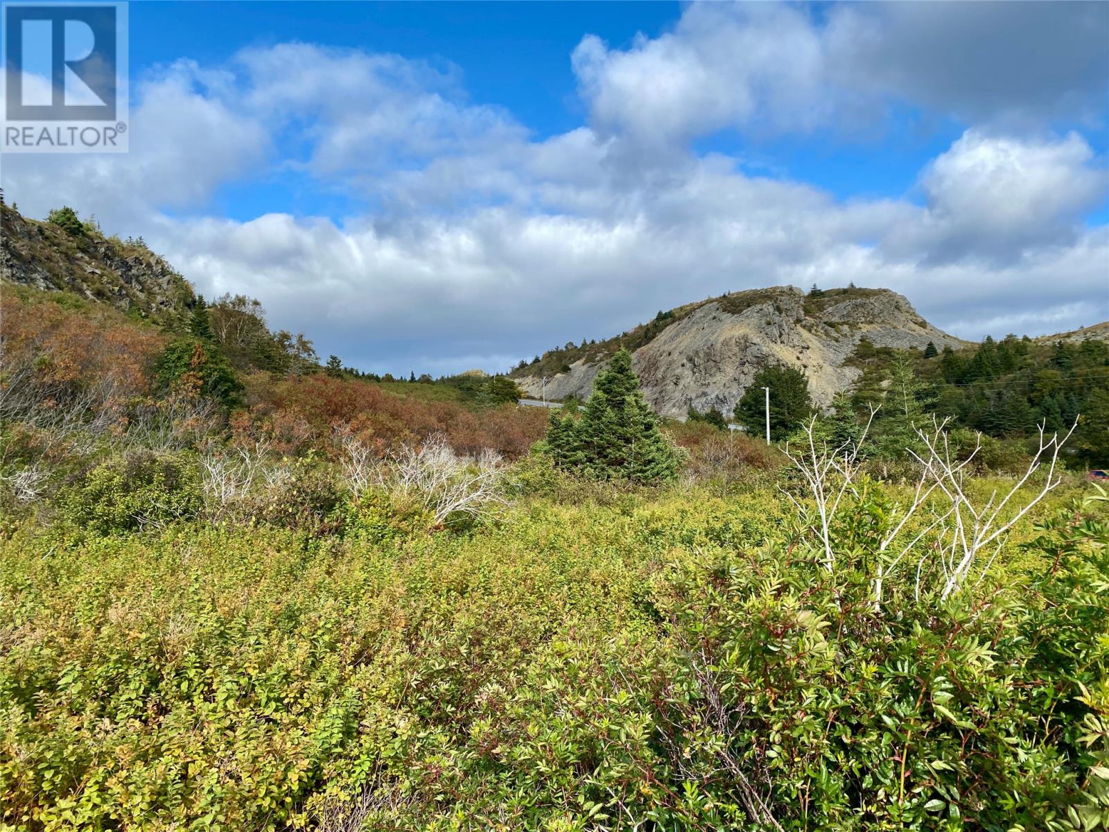 6-8 Old Road N, Salmon Cove, Newfoundland & Labrador  A0A 3S0 - Photo 3 - 1296841