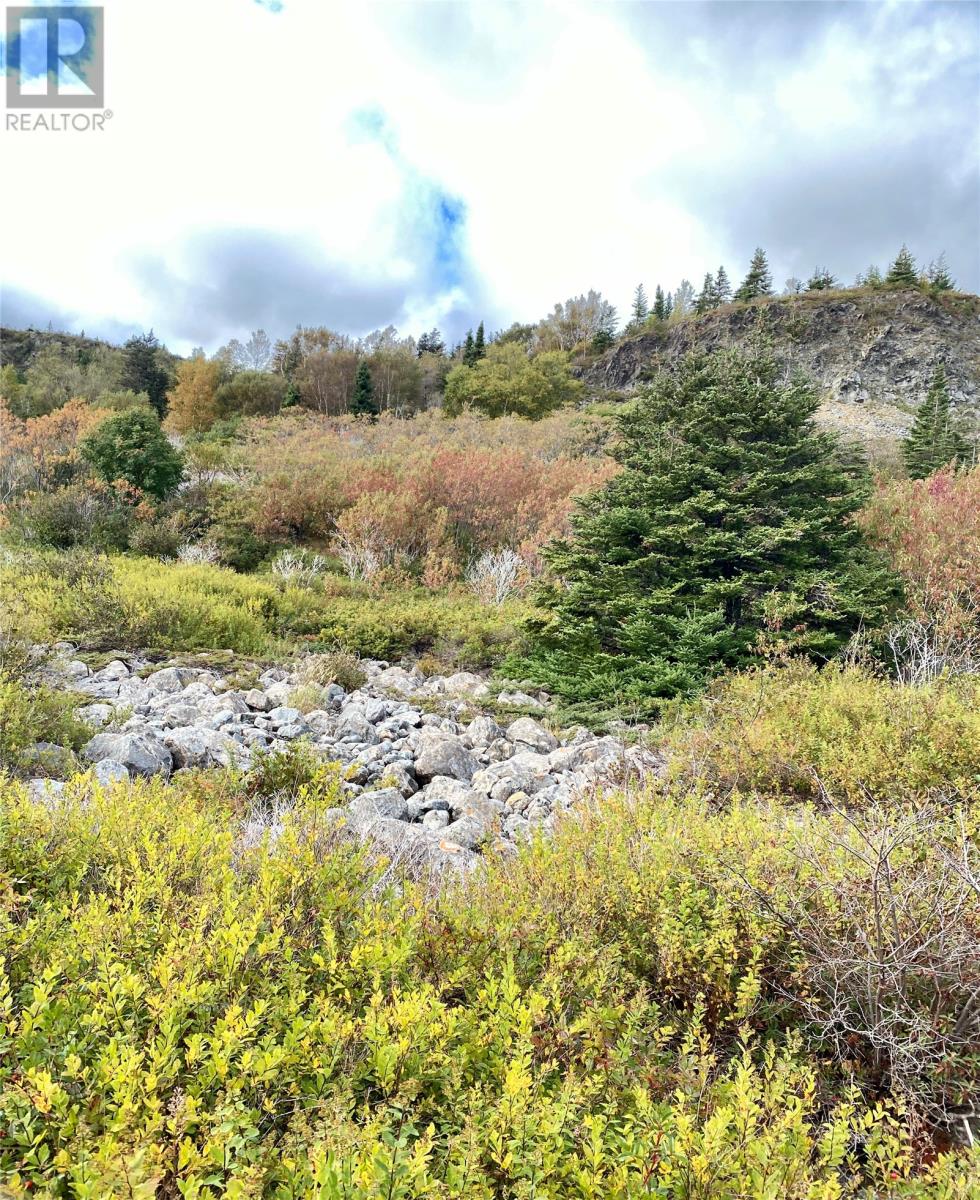 6-8 Old Road N, Salmon Cove, Newfoundland & Labrador  A0A 3S0 - Photo 4 - 1296841