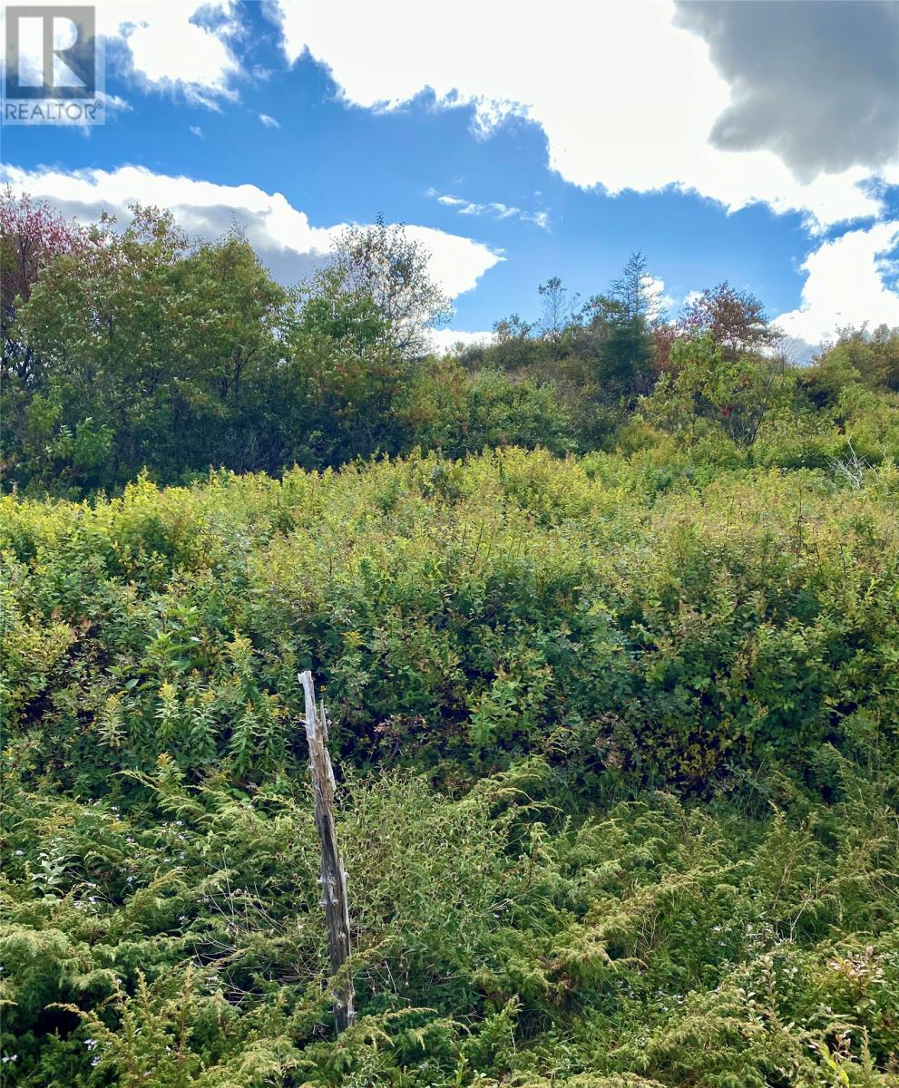 6-8 Old Road N, Salmon Cove, Newfoundland & Labrador  A0A 3S0 - Photo 6 - 1296841