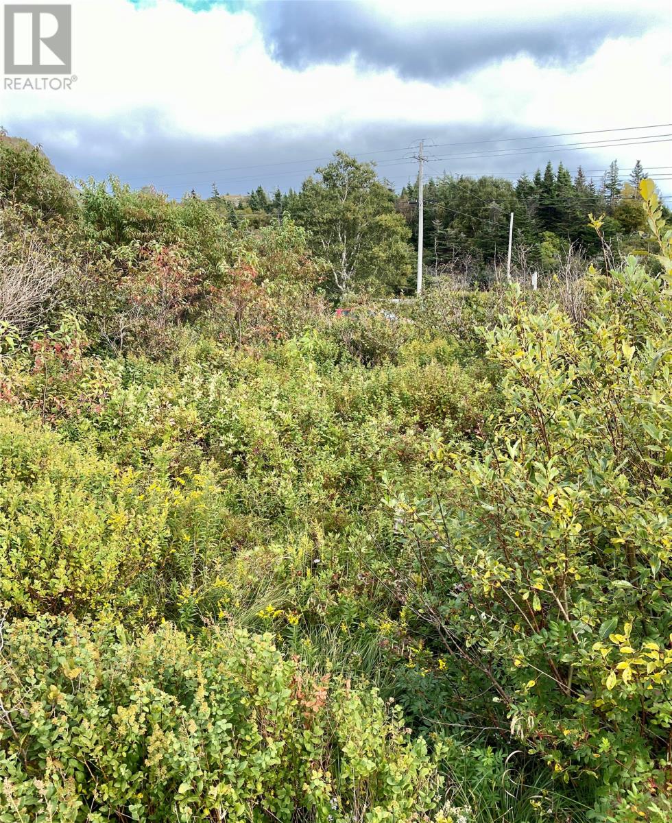 6-8 Old Road N, Salmon Cove, Newfoundland & Labrador  A0A 3S0 - Photo 8 - 1296841