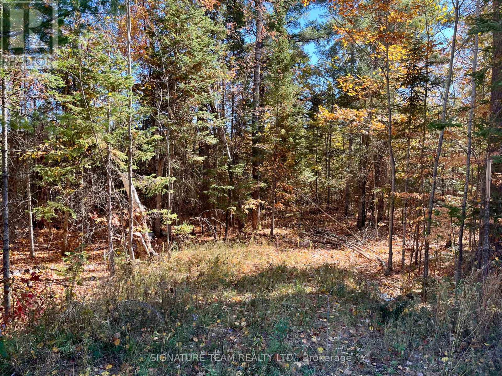 0 Foymount Road, Bonnechere Valley, Ontario  K0J 1T0 - Photo 1 - X13067306