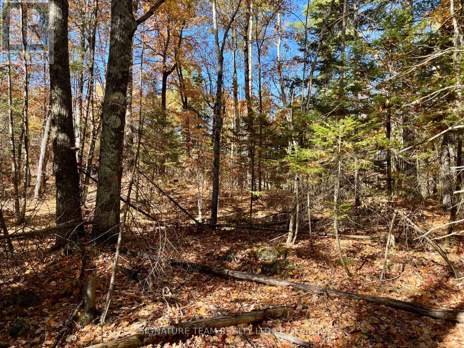 0 Foymount Road, Bonnechere Valley, Ontario  K0J 1T0 - Photo 10 - X13067306