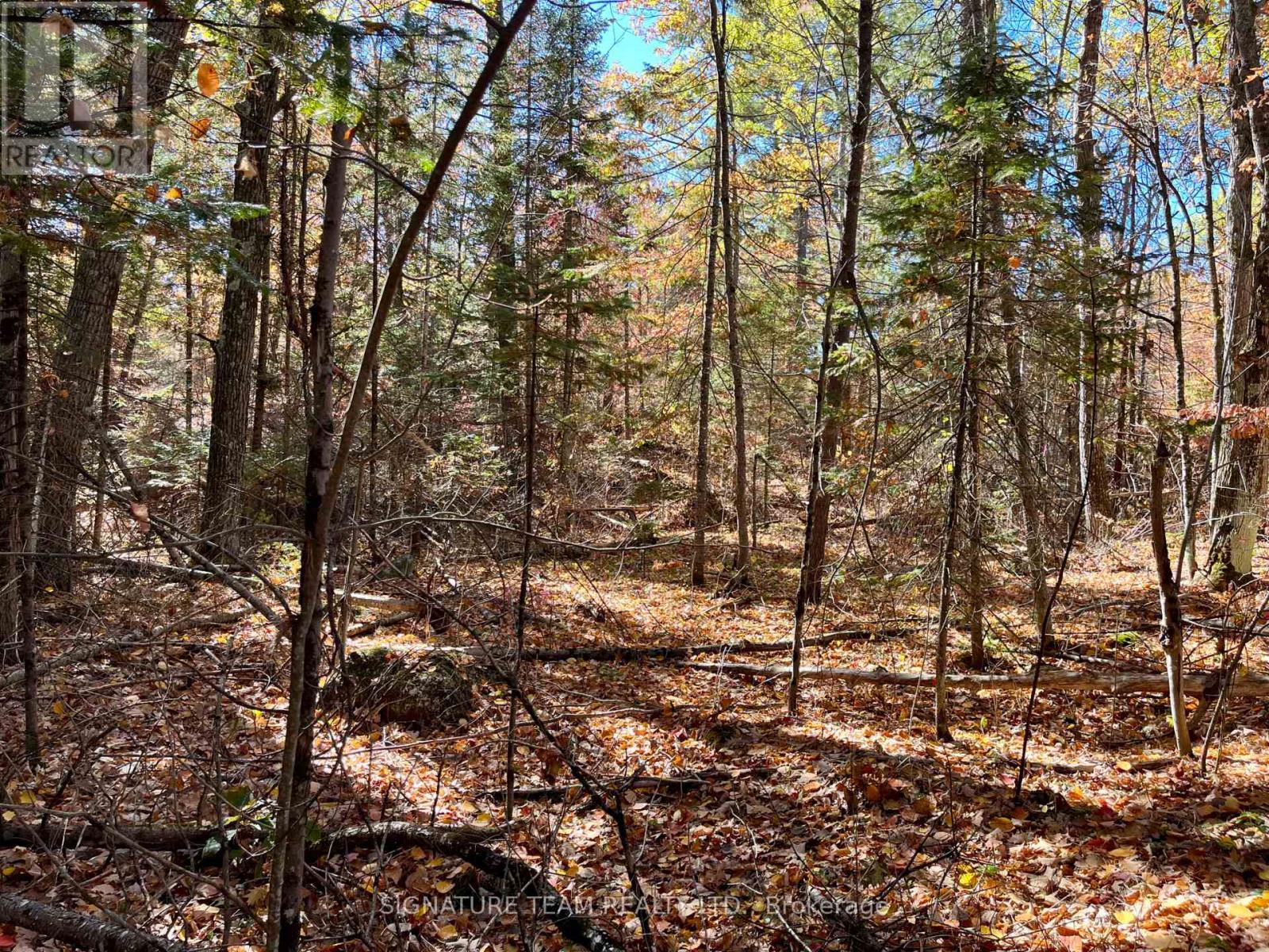 0 Foymount Road, Bonnechere Valley, Ontario  K0J 1T0 - Photo 11 - X13067306