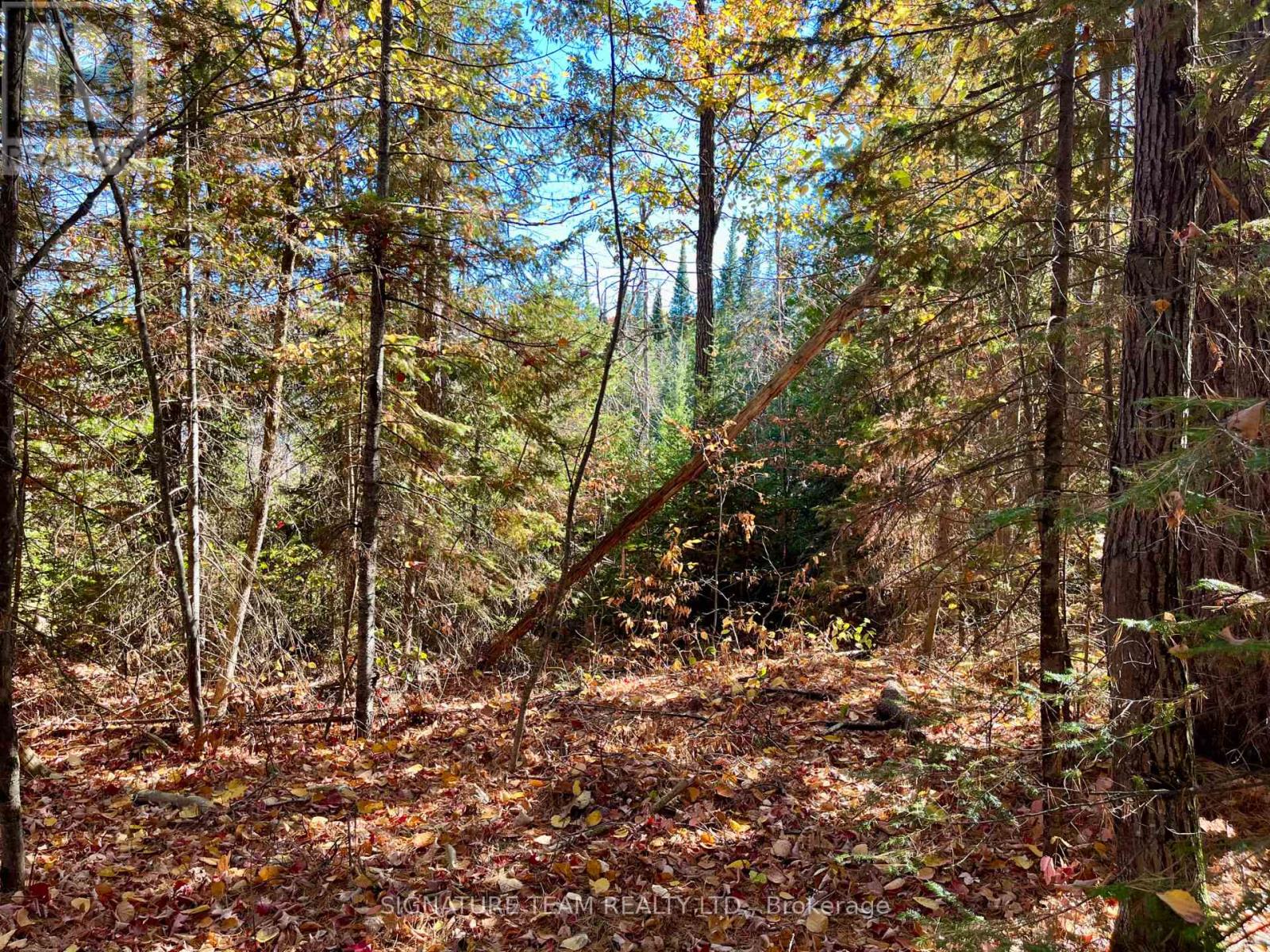0 Foymount Road, Bonnechere Valley, Ontario  K0J 1T0 - Photo 12 - X13067306