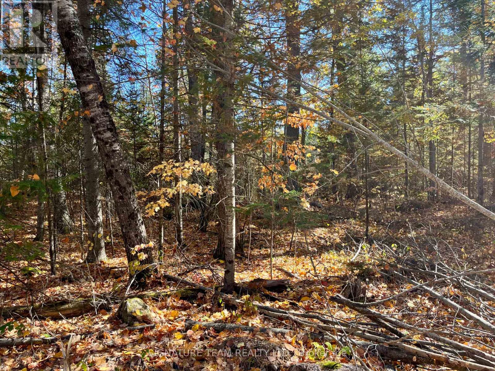 0 Foymount Road, Bonnechere Valley, Ontario  K0J 1T0 - Photo 14 - X13067306