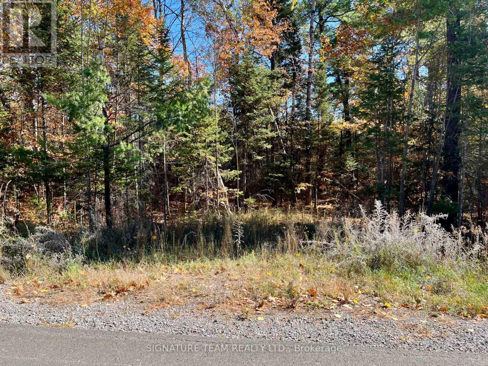 0 Foymount Road, Bonnechere Valley, Ontario  K0J 1T0 - Photo 2 - X13067306