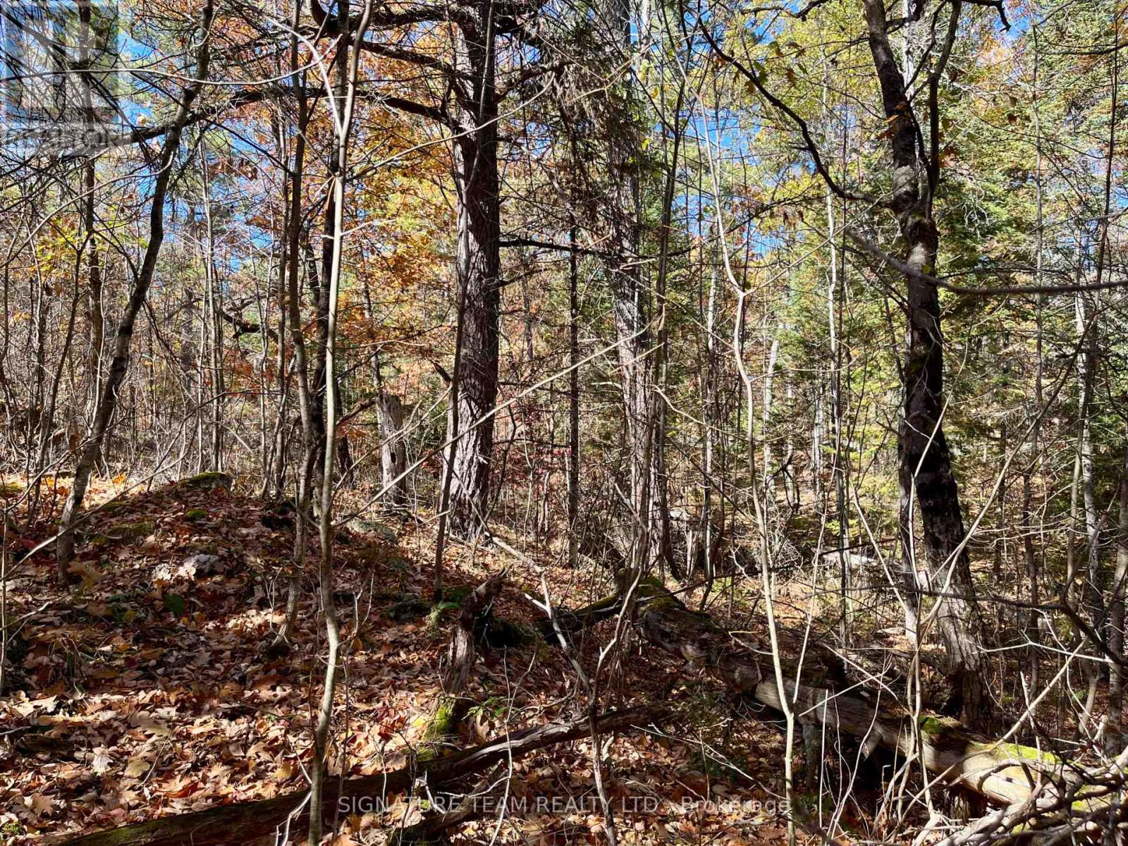 0 Foymount Road, Bonnechere Valley, Ontario  K0J 1T0 - Photo 6 - X13067306