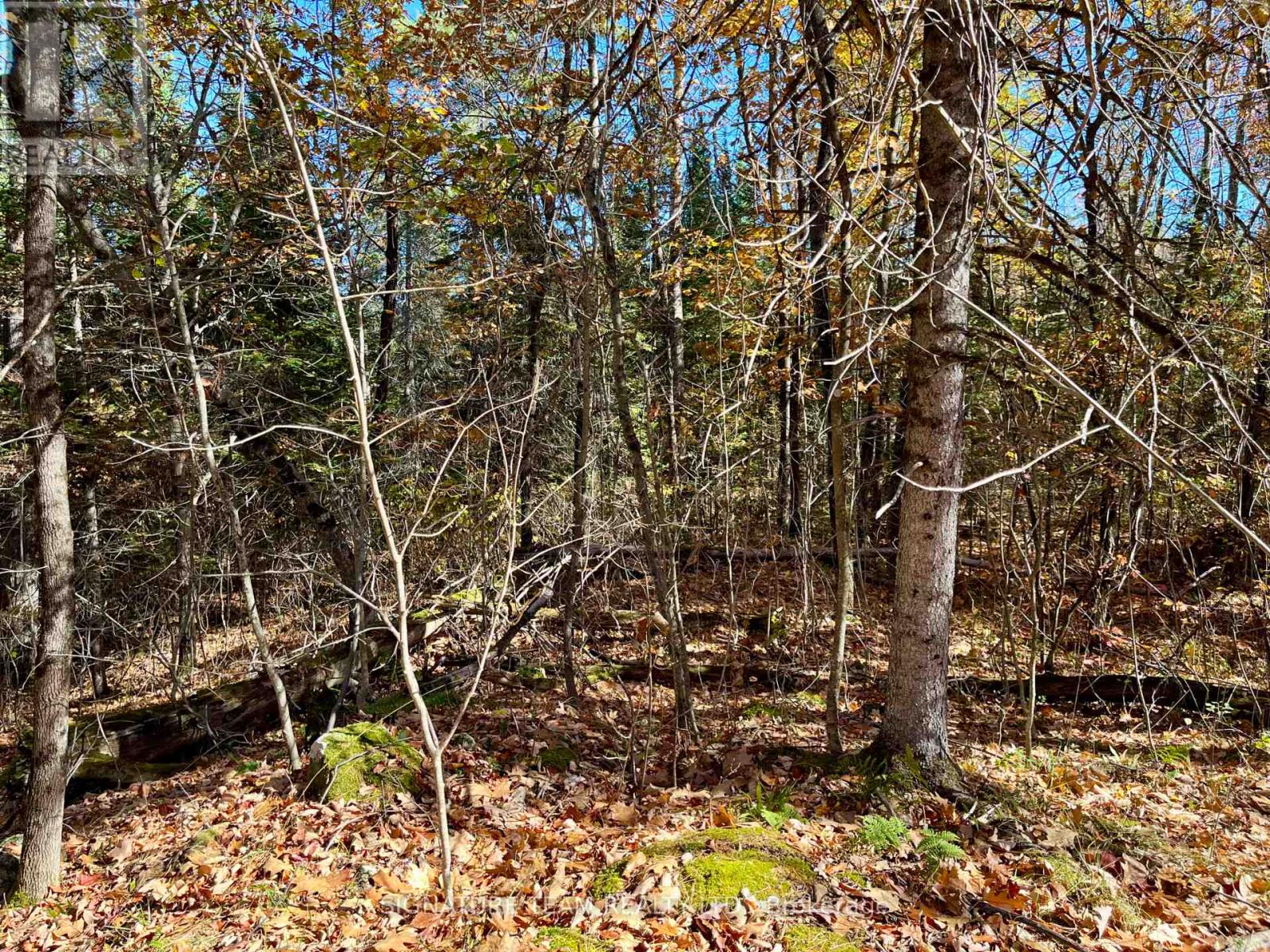 0 Foymount Road, Bonnechere Valley, Ontario  K0J 1T0 - Photo 7 - X13067306