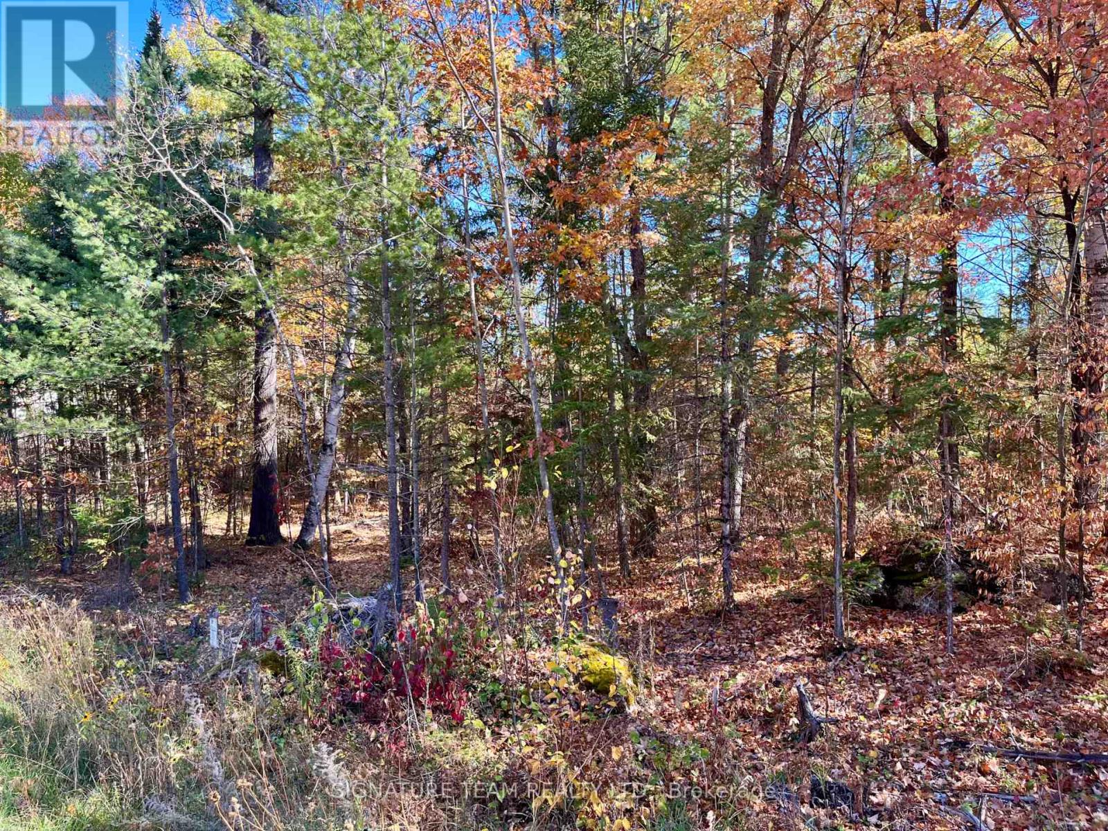 0 Foymount Road, Bonnechere Valley, Ontario  K0J 1T0 - Photo 8 - X13067306
