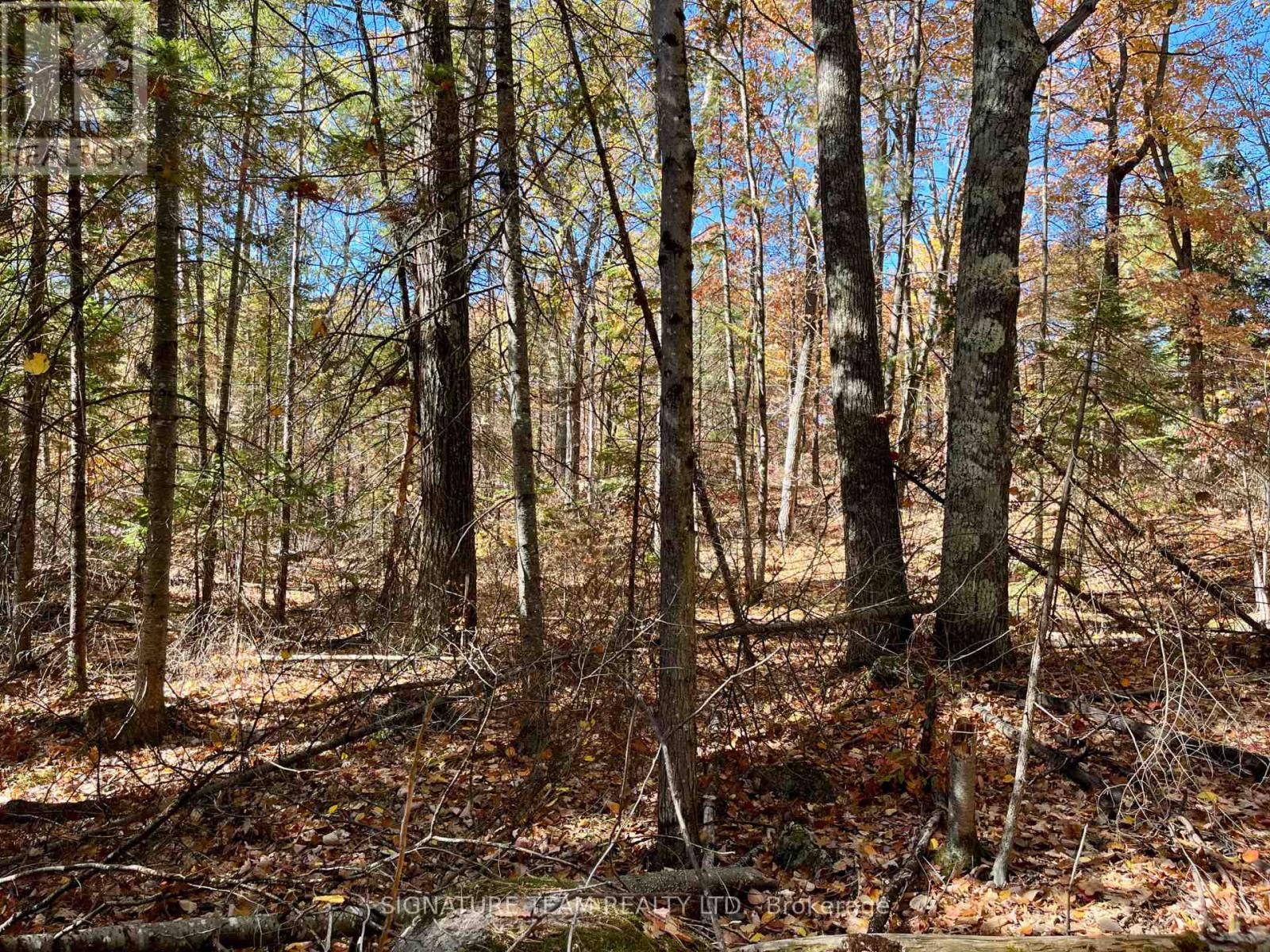 0 Foymount Road, Bonnechere Valley, Ontario  K0J 1T0 - Photo 9 - X13067306