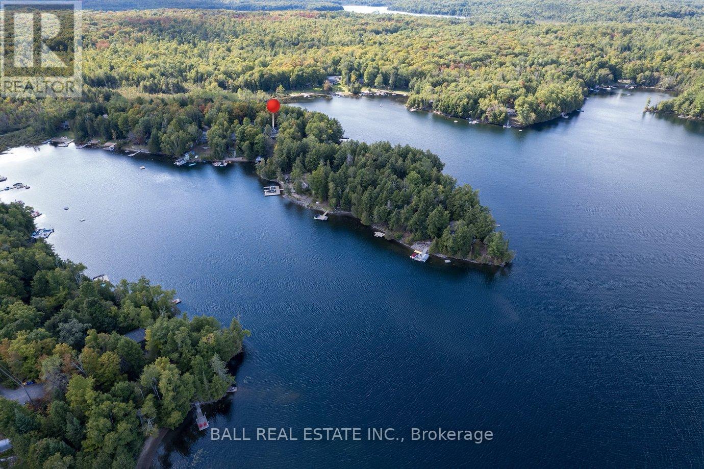 45 Hemlock Point Road, North Kawartha, Ontario  K0L 1A0 - Photo 2 - X13067470