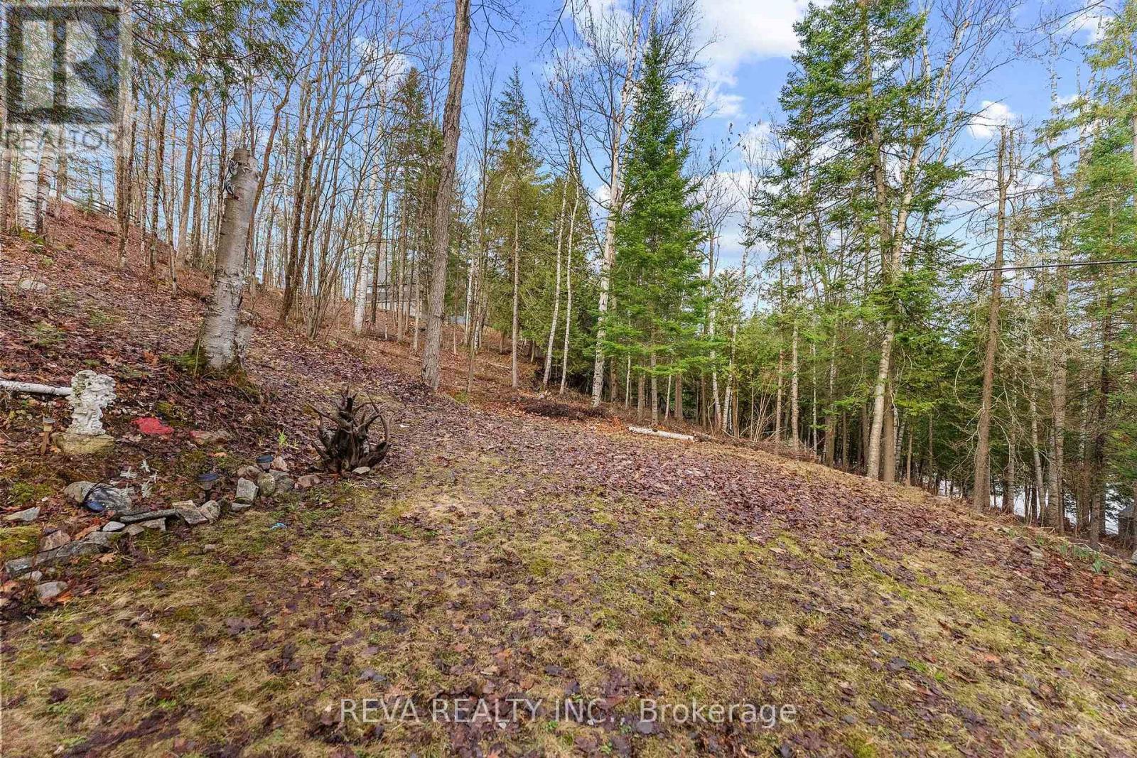 115 West Mullet Lake Drive, Faraday, Ontario  K0L 1C0 - Photo 19 - X13067816