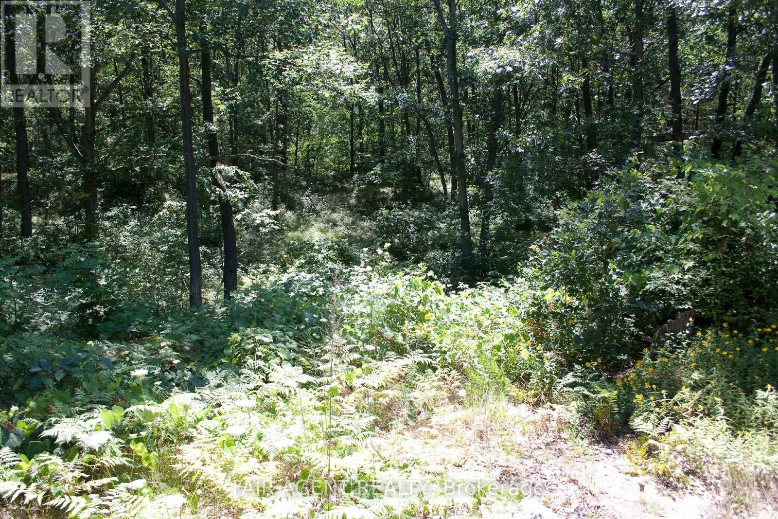 10267 Daniel Avenue, Lambton Shores, Ontario  N0M 1T0 - Photo 3 - X13067436