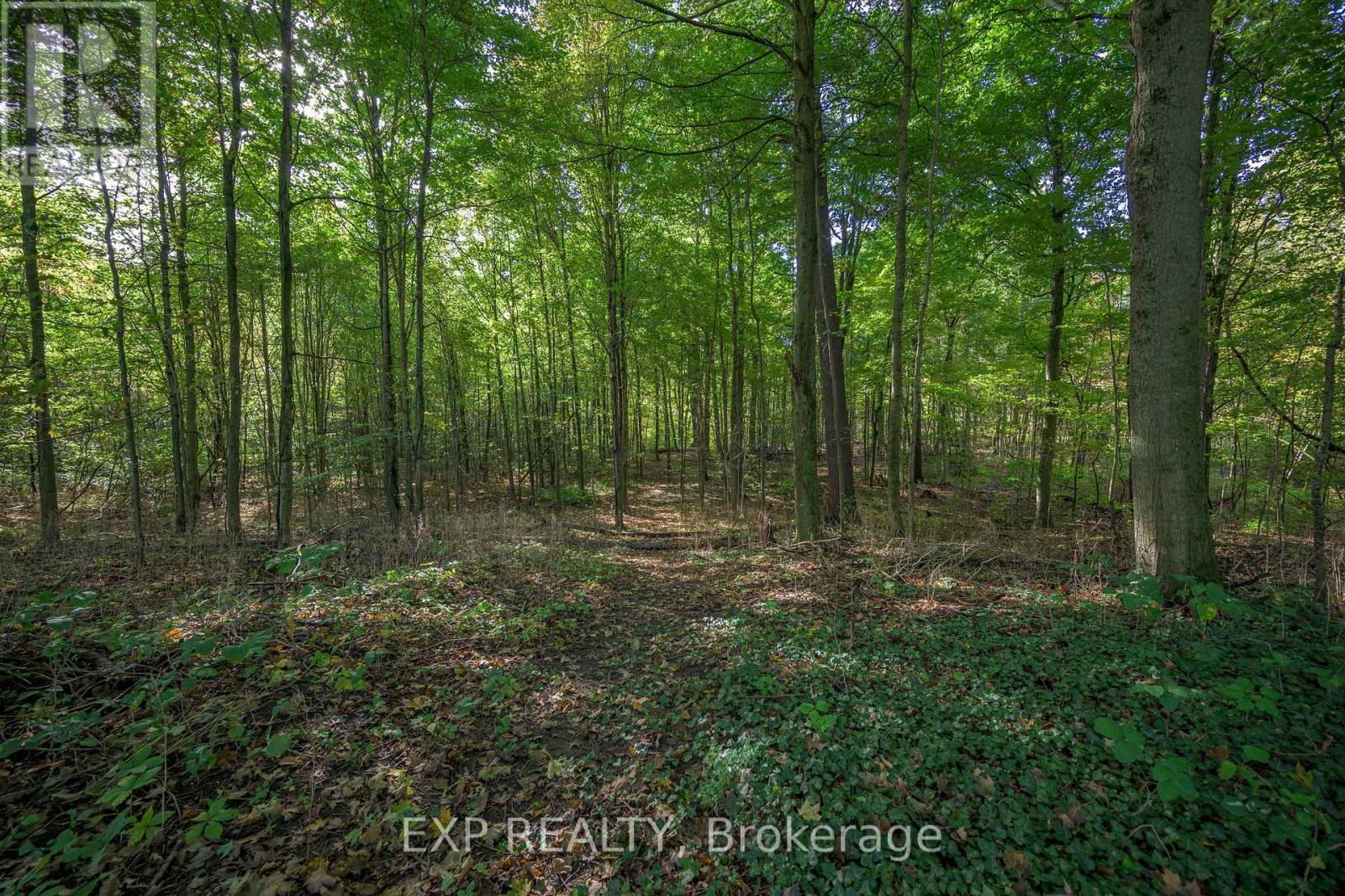 526 Talbot Road, Norfolk, Ontario  N4B 2W6 - Photo 8 - X13067490