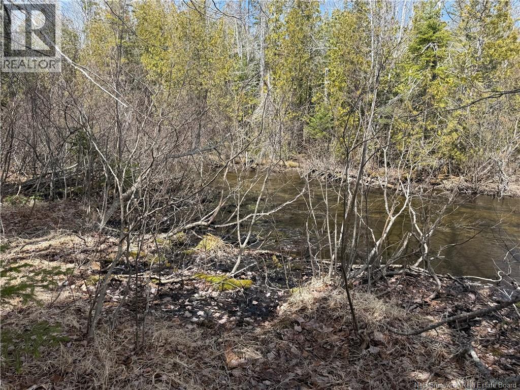 2.17 Acres Route 355, Sainte Rose, New Brunswick  E1X 2W3 - Photo 13 - NB138367