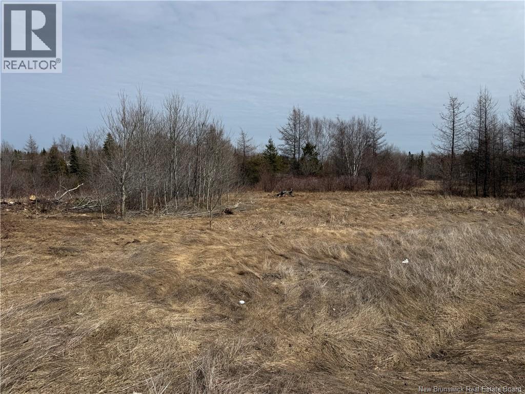 2.17 Acres Route 355, Sainte Rose, New Brunswick  E1X 2W3 - Photo 16 - NB138367