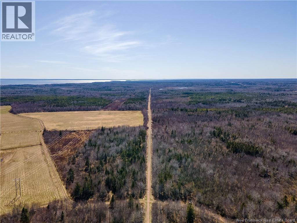 Route 960, Cape Spear, New Brunswick  E4M 1R6 - Photo 17 - NB138340