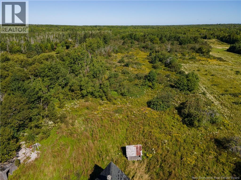 Route 960, Cape Spear, New Brunswick  E4M 1R6 - Photo 3 - NB138340