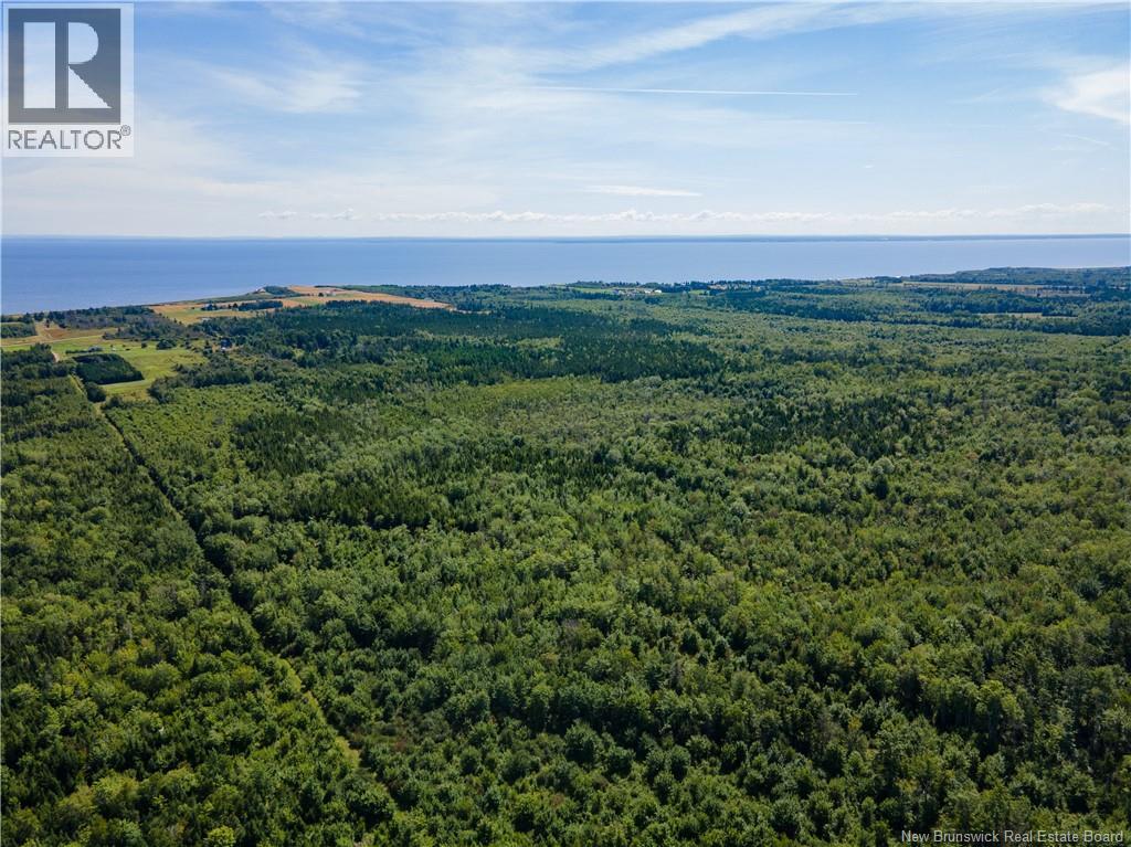 Route 960, Cape Spear, New Brunswick  E4M 1R6 - Photo 6 - NB138340