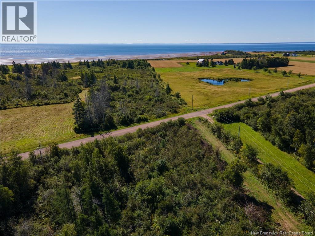 Route 960, Cape Spear, New Brunswick  E4M 1R6 - Photo 8 - NB138340