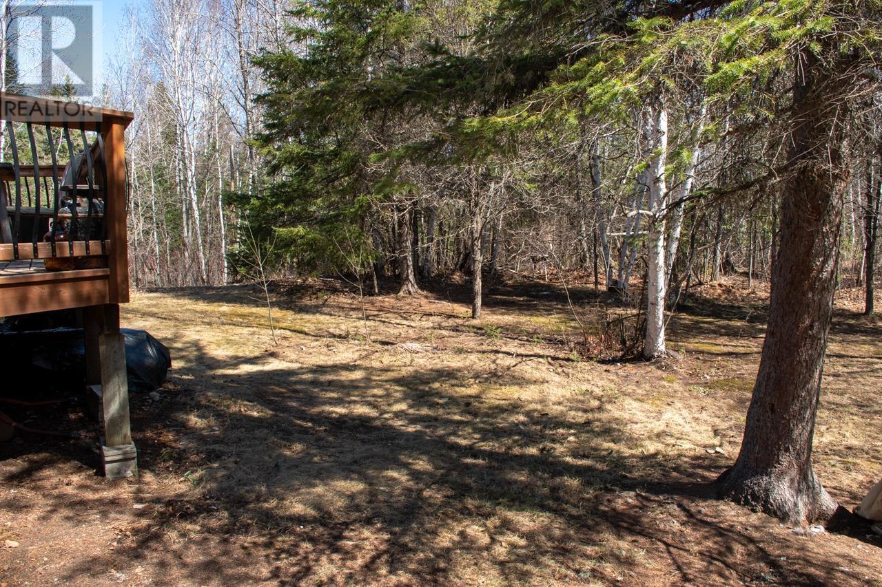 8 Shady Roost Road, Nestor Falls, Ontario  P0X 1K0 - Photo 43 - TB2600847