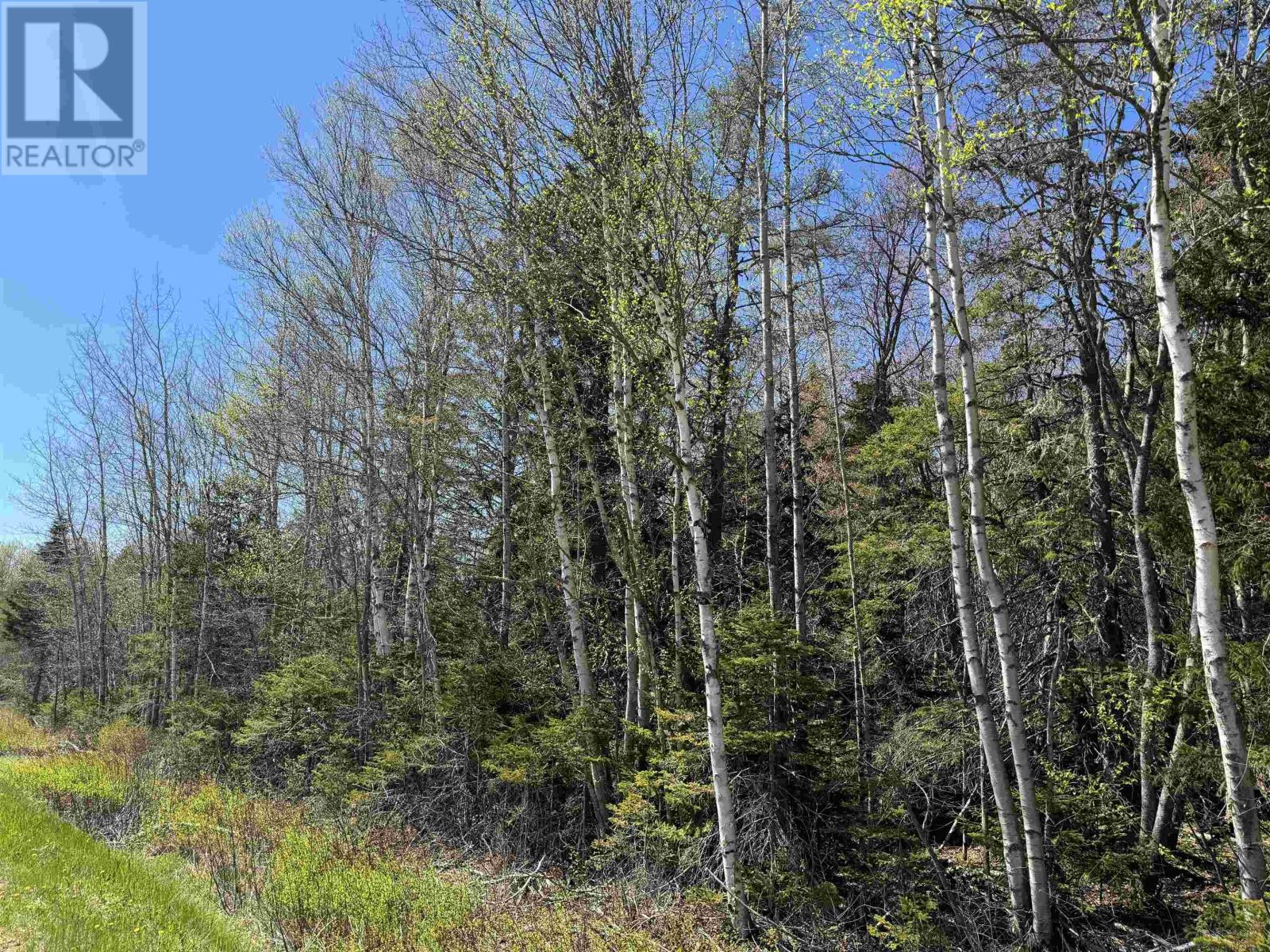 Lot 4 Highway 509 Highway, Lower Maccan, Nova Scotia  B0L 1B0 - Photo 2 - 202609287