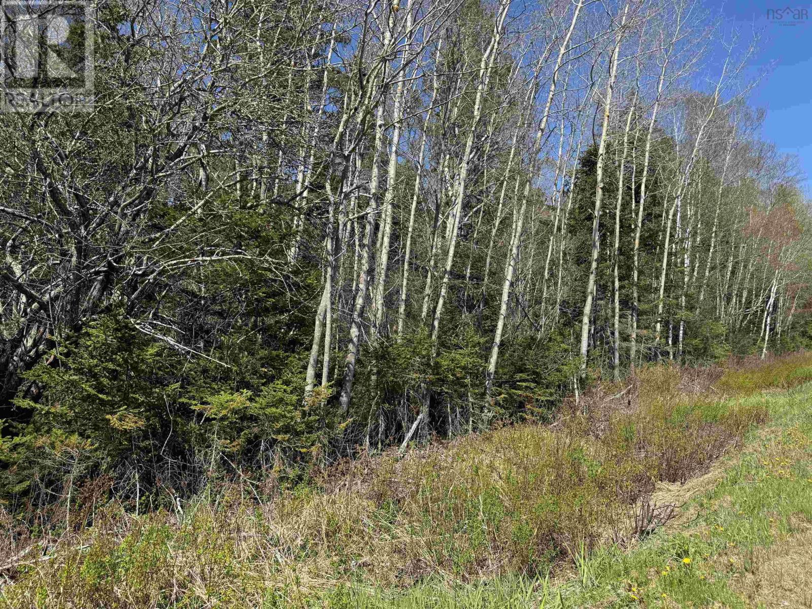 Lot 4 Highway 509 Highway, Lower Maccan, Nova Scotia  B0L 1B0 - Photo 3 - 202609287