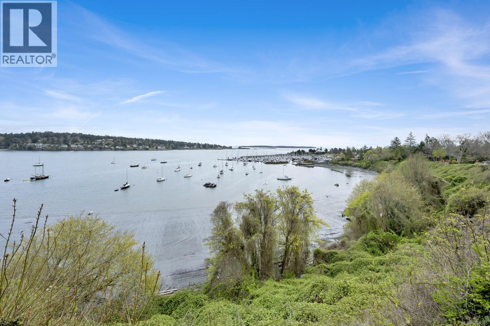 3565 Beach Dr, Oak Bay, British Columbia  V8R 6M6 - Photo 5 - 1029365