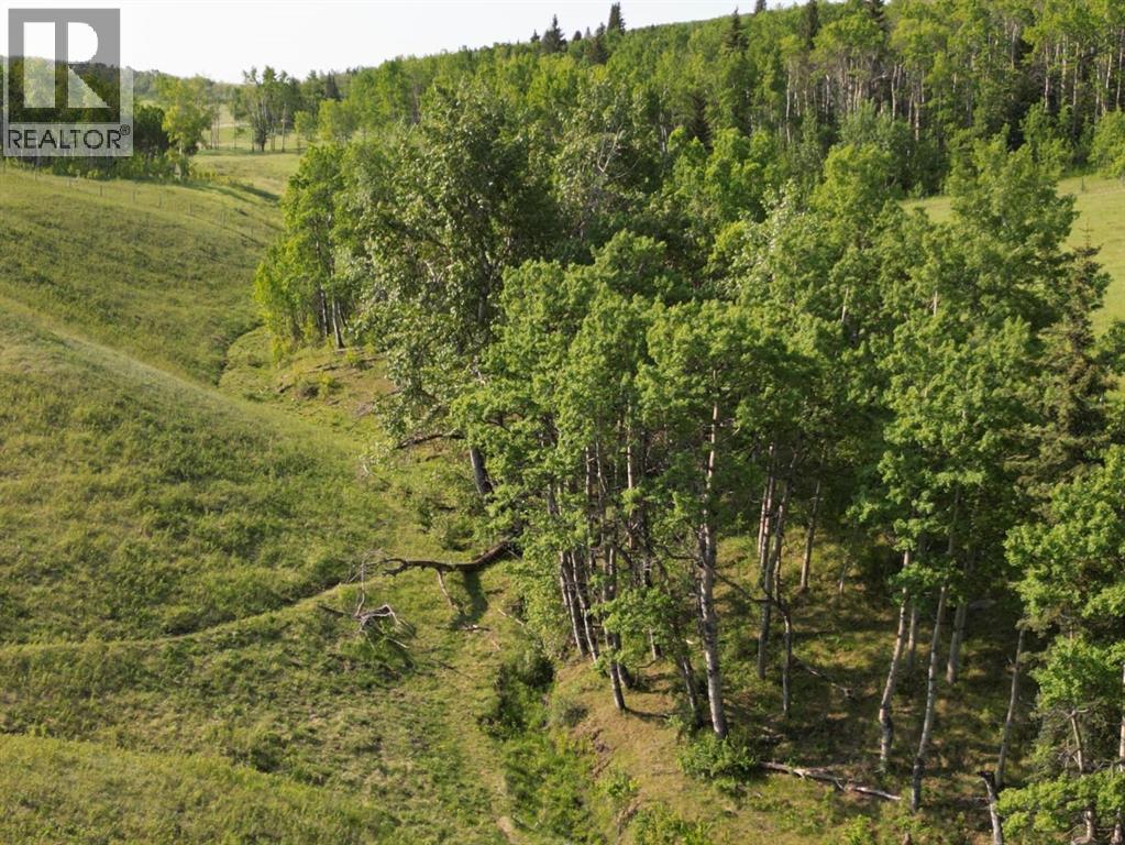 - -, Millarville, Alberta  T1S 2V7 - Photo 10 - A2300060
