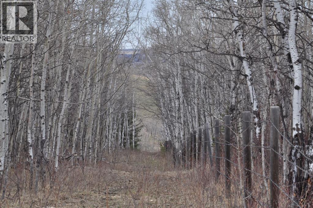 - -, Millarville, Alberta  T1S 2V7 - Photo 14 - A2300060
