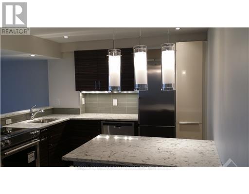 503 - 1100 Ambleside Drive, Ottawa, Ontario  K2B 8G6 - Photo 5 - X13068702