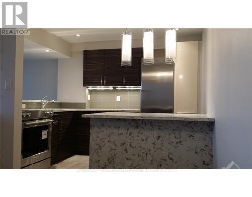 503 - 1100 Ambleside Drive, Ottawa, Ontario  K2B 8G6 - Photo 6 - X13068702