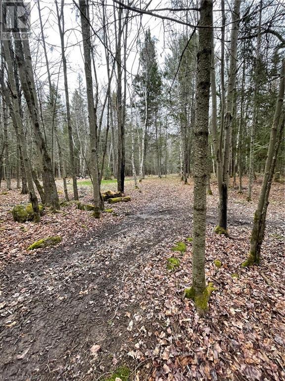 64 Astorville Road, East Ferris, Ontario  P0H 1B0 - Photo 49 - X13068572