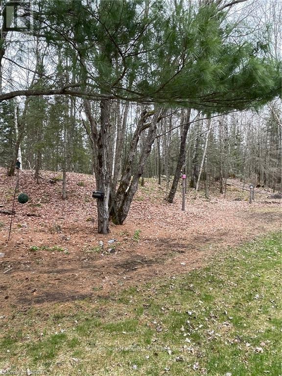 64 Astorville Road, East Ferris, Ontario  P0H 1B0 - Photo 50 - X13068572