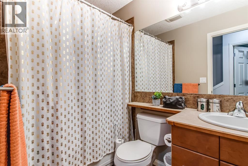 22 Terrace View  Ne, Medicine Hat, Alberta  T1C 0A3 - Photo 18 - A2302473