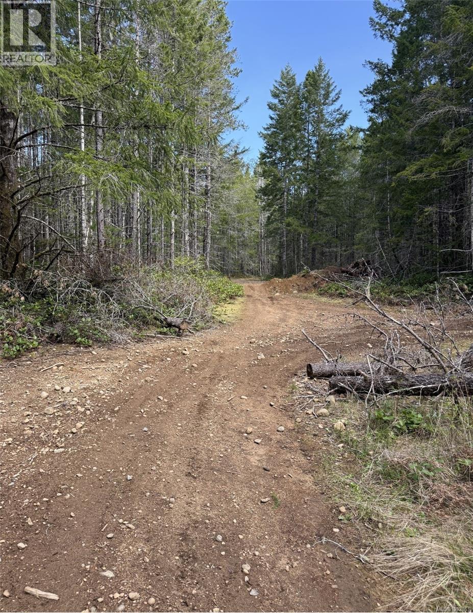 Lot B Anderson Ave, Bowser, British Columbia  V0R 1G0 - Photo 3 - 1032861