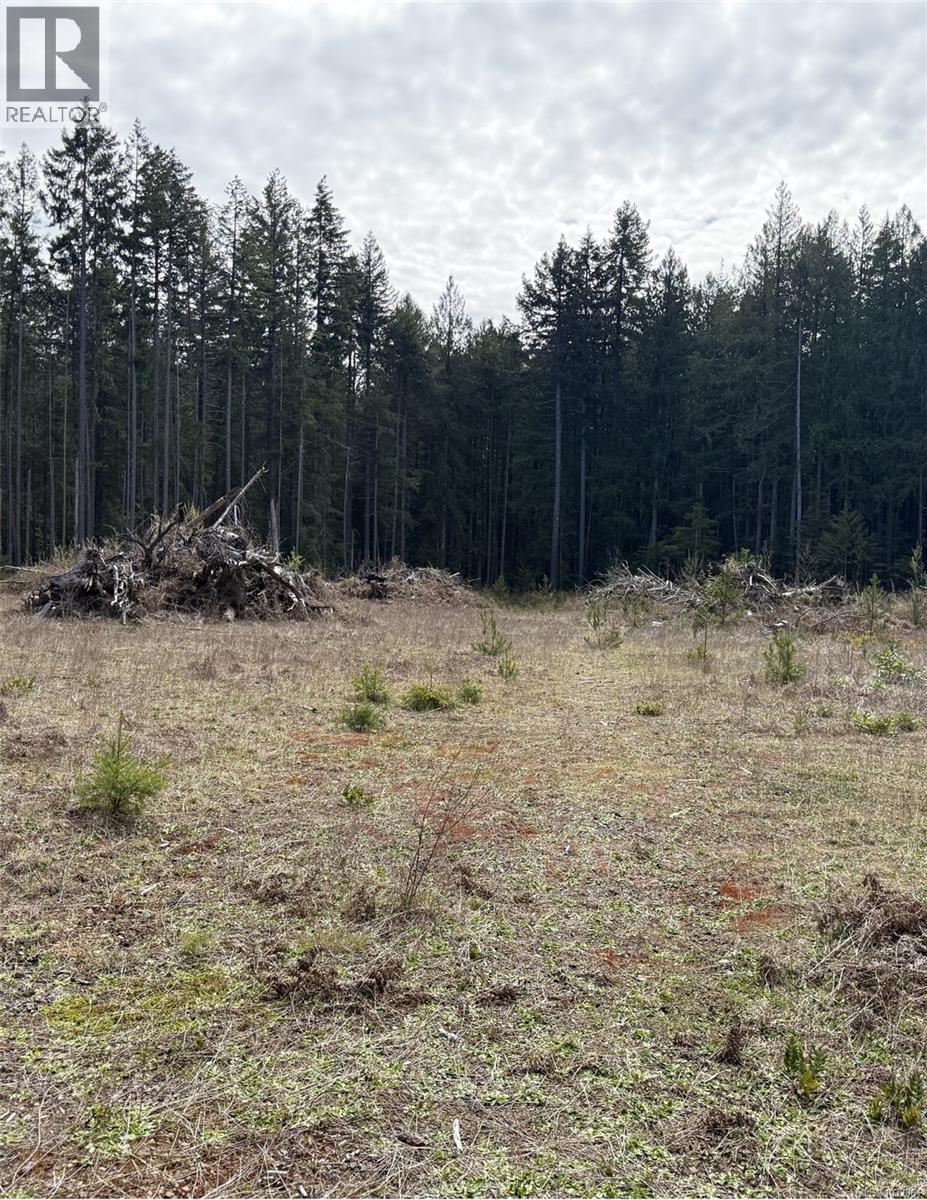 Lot B Anderson Ave, Bowser, British Columbia  V0R 1G0 - Photo 4 - 1032861