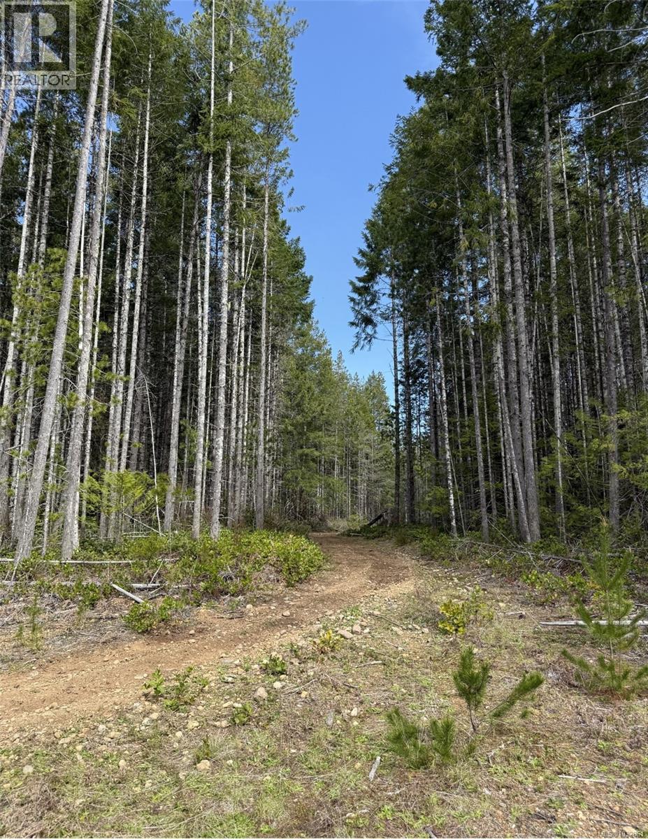 Lot B Anderson Ave, Bowser, British Columbia  V0R 1G0 - Photo 5 - 1032861